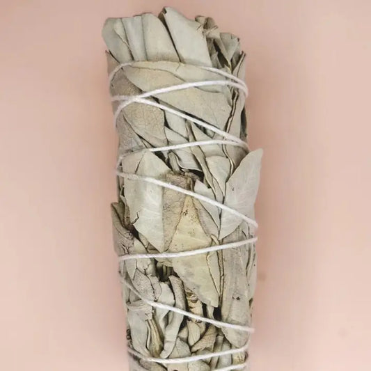 Smudge Stick - Pure White Sage